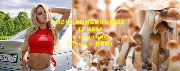 тгк Усолье-Сибирское