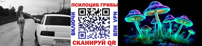 Купить где  Нижнеудинск  Галлюциногенные грибы Psilocybine cubensis 